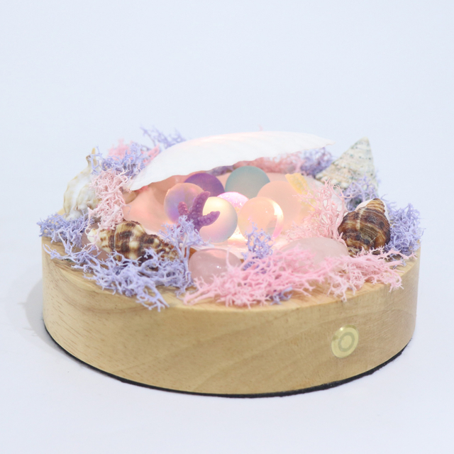 웨이브 사운드를 가진 수제 쉘 콘크 작은 테이블 램프