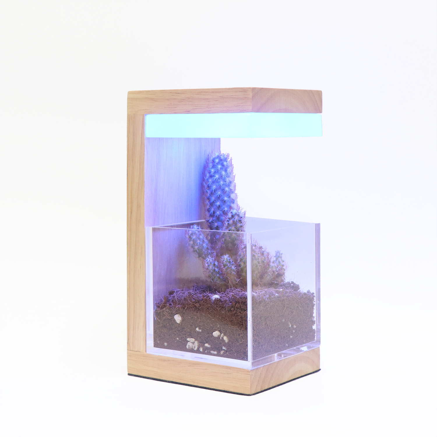 RGB 7 색 나무 LED 식물은 빛을 자랍니다 