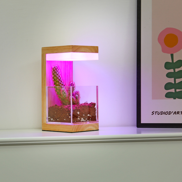 RGB 7 색 나무 LED 식물은 빛을 자랍니다 