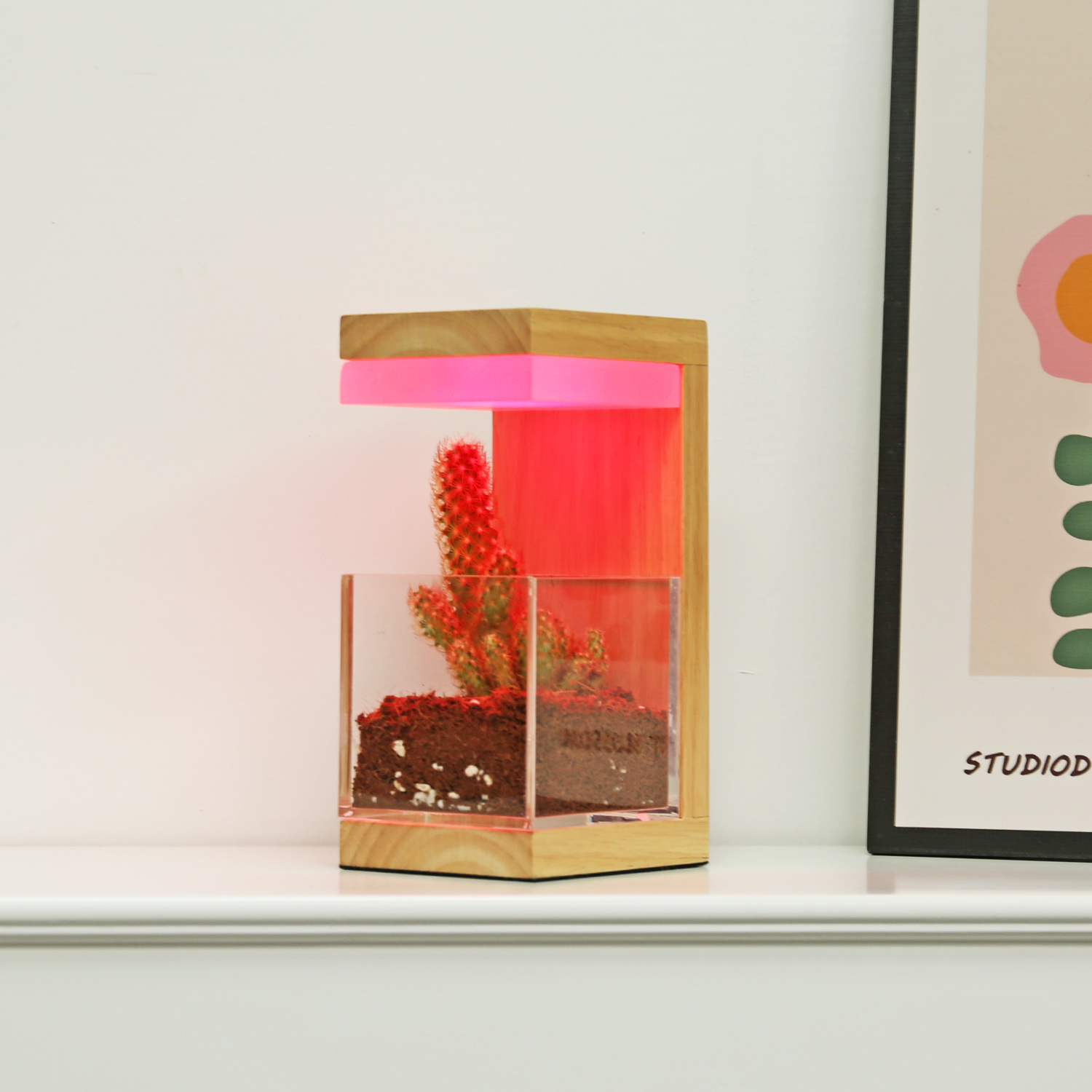 RGB 7 색 나무 LED 식물은 빛을 자랍니다 